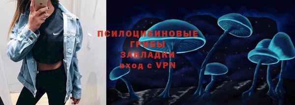 твердый Аркадак