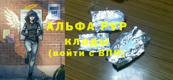 стафф Алексин