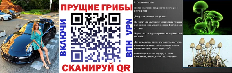 Псилоцибиновые грибы Psilocybine cubensis  KRAKEN рабочий сайт  Ахтубинск 